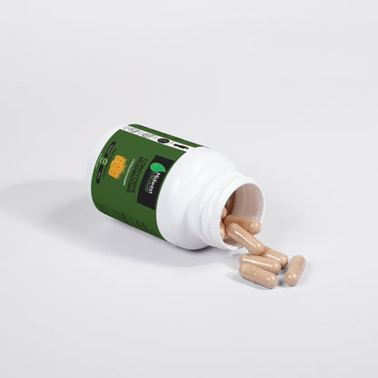 Cordyceps Mushroom Capsules